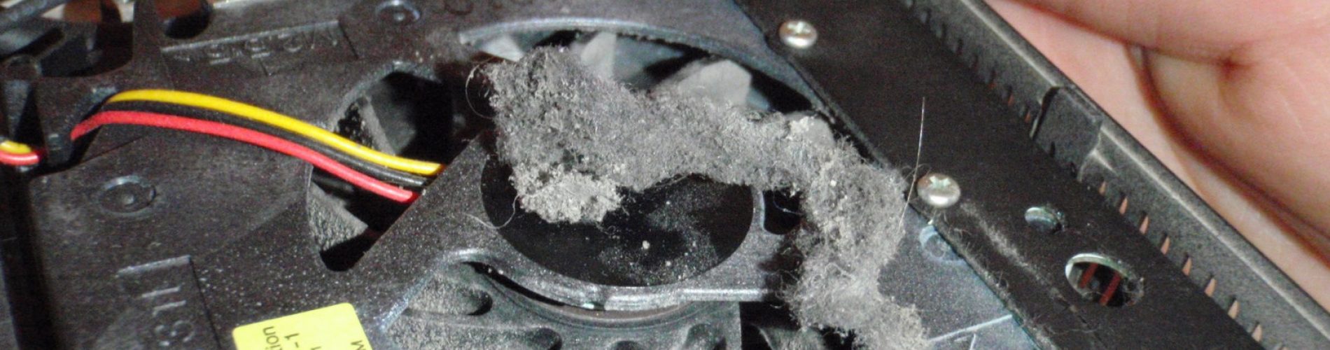 Dust on the fan of a computer being checked on the back